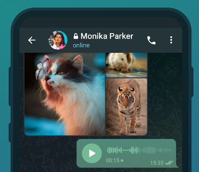 开始 Telegram 秘密聊天