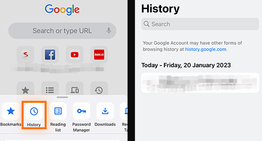 How to Delete Google Search History on iOS?