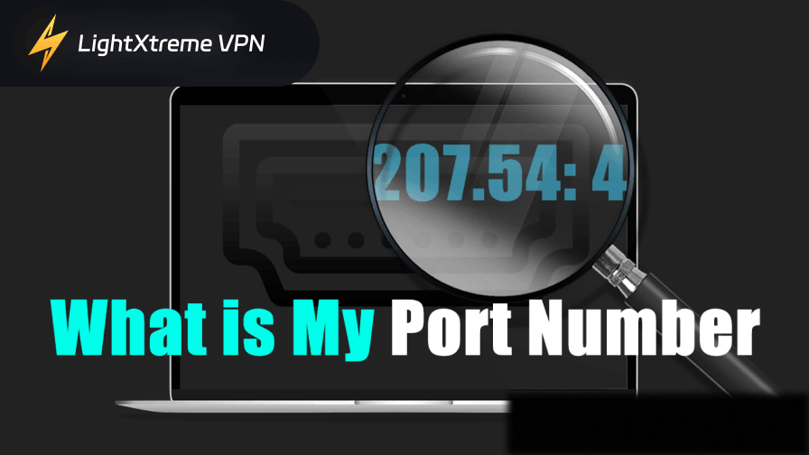 What Is My Port Number? A Complete Guide to Networking Ports