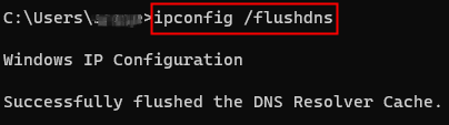 Flush Your DNS Cache on Windows 10 & 11