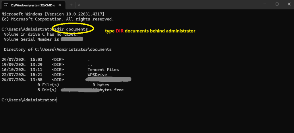 명령 프롬프트에 DIR documents 입력