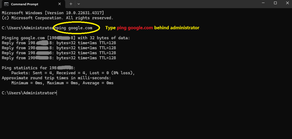 명령 프롬프트에 ping google.com 입력