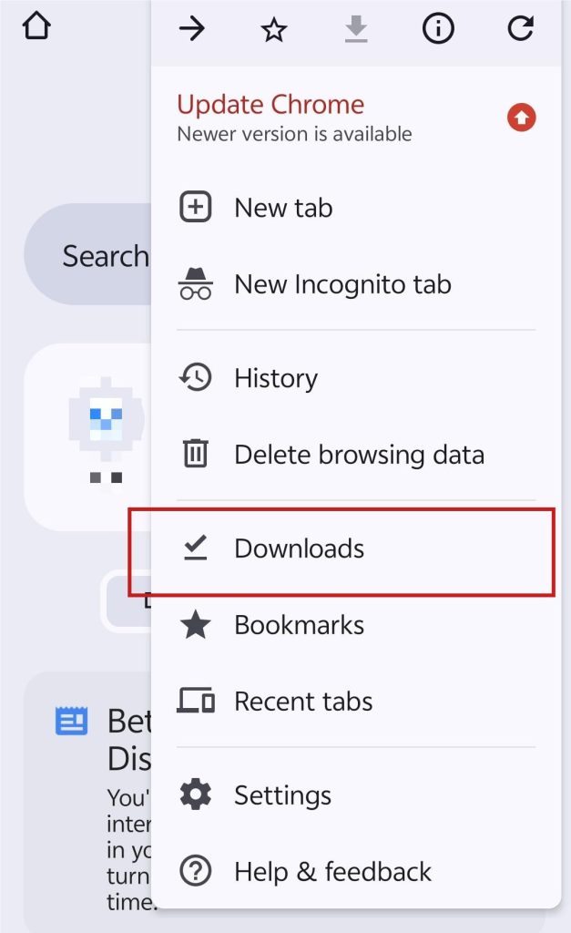 Downloads in the Google Browser