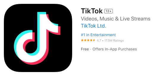 TikTok Download for iPhone/iPad
