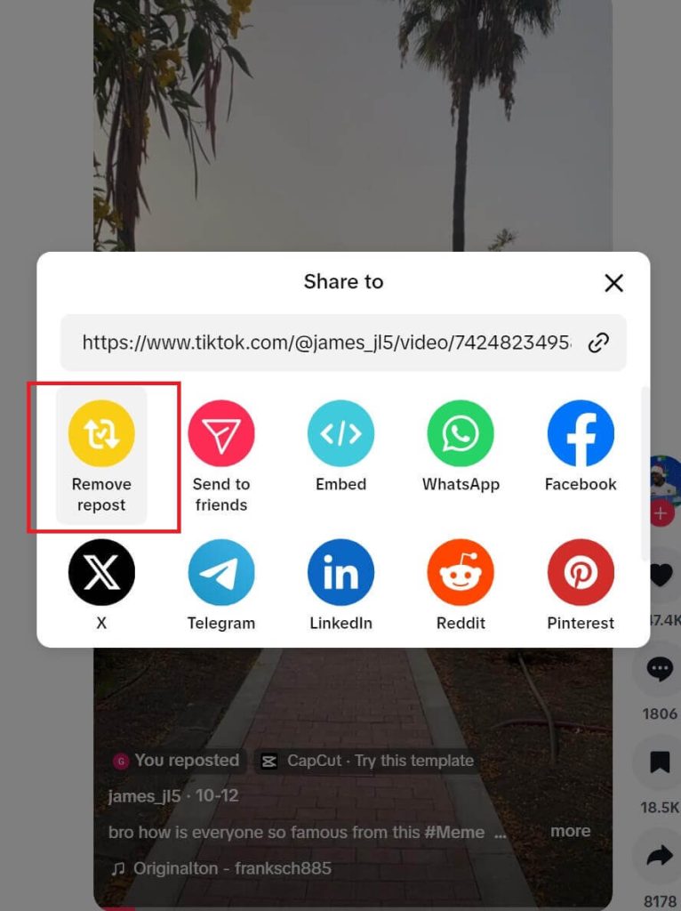 Remove Repost on TikTok