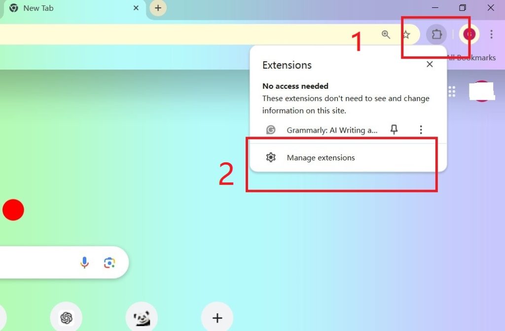The Manage Extensions Option on Chrome