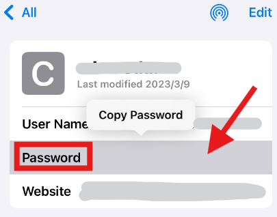 詳細なパスワードを表示します。