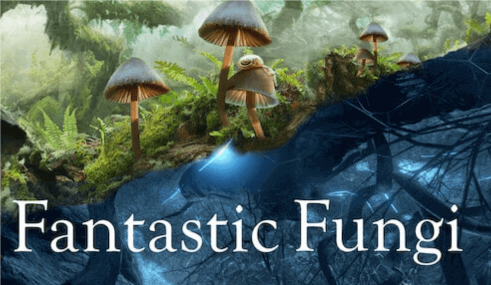 Fantastic Fungi