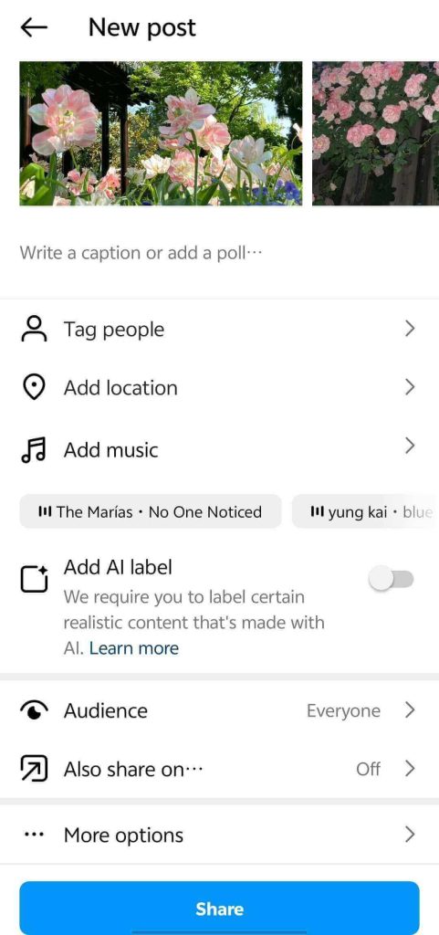Edit the Post and Share It to Feed