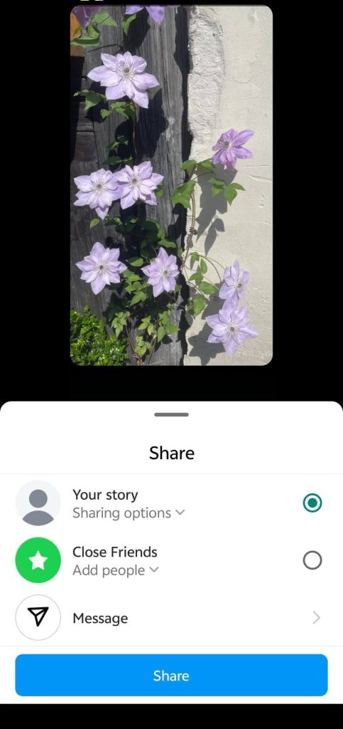 Tap Share to post your Instagram story