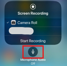 enable the microphone