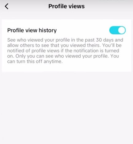 Toggle off Profile View History in the TikTok Settings