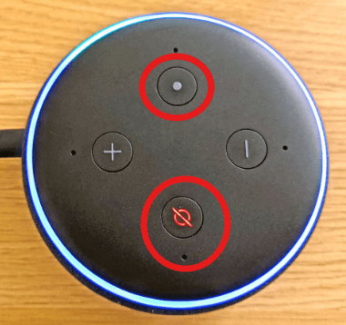 Turn on your Alexa Echo Dot