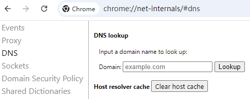 flush the DNS cache on Chrome