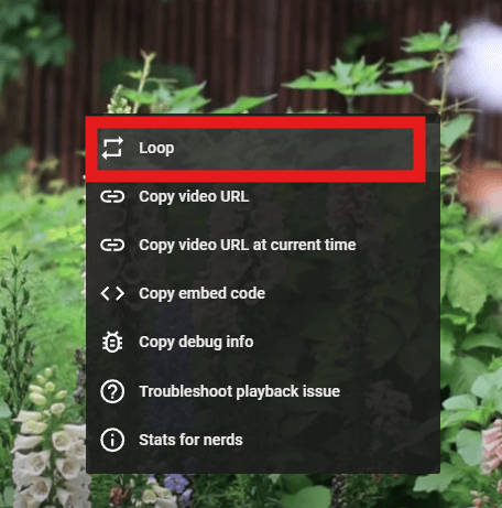 Loop a YouTube video on desktop settings option