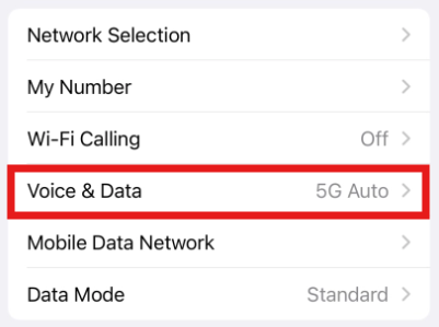 Access Voice & Data settings to disable 5G on iPhone