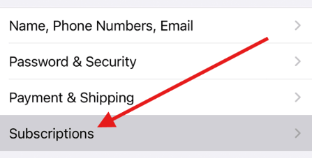 用户在 iPhone 设置菜单中点击 Apple ID 并选择“订阅”的截图