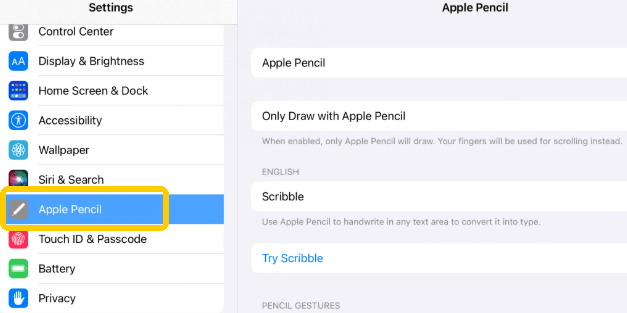 Customize Apple Pencil Settings