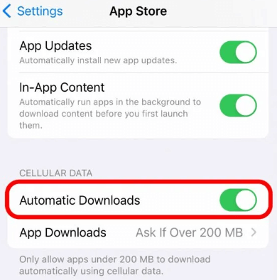 Enable using cellular data for updating