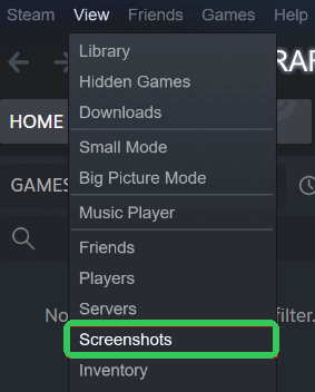 View Screenshots on Steam